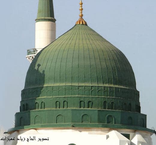 We create a great curriculum to the best fit for biginnerss